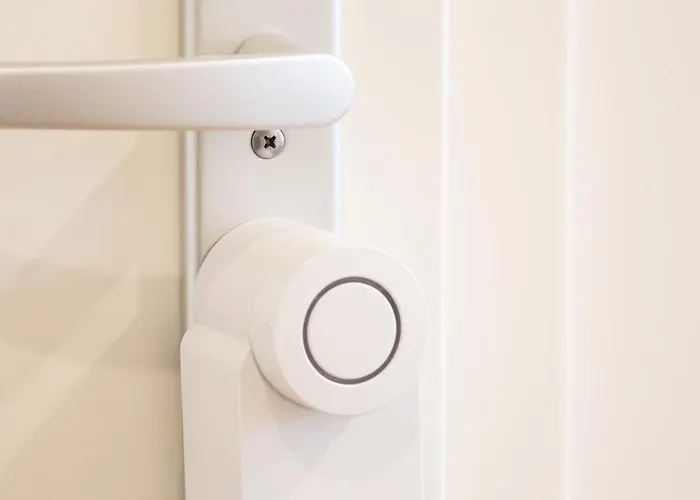 City Studio 프랑크푸르트